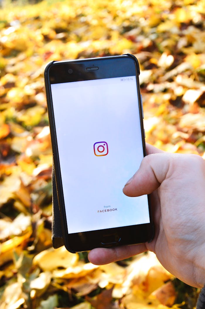 services-03 Close-up of a hand holding a smartphone displaying the Instagram logo over fallen leaves.